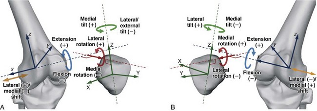 Biomechanics And Vibroarthrography Of The Patellofemoral Joint ...