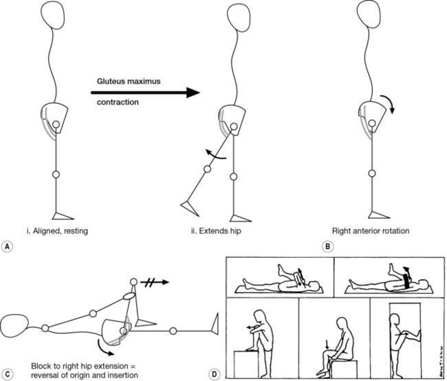 A comprehensive treatment approach Musculoskeletal Key