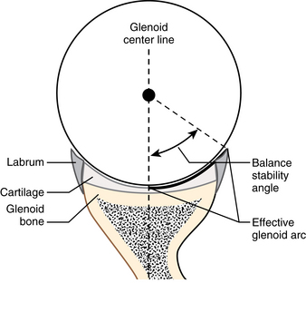 Clinical Anatomy And Biomechanics Of The Glenohumeral Joint (including ...