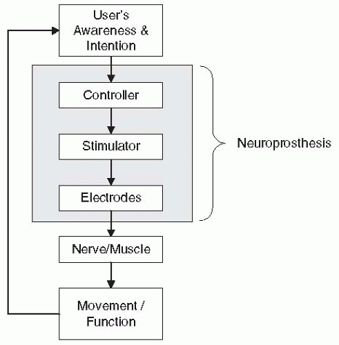 a Schematic of the synchronized neuromuscular electrical stimulation