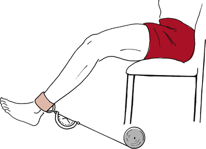 Isometric 2024 quadriceps contraction