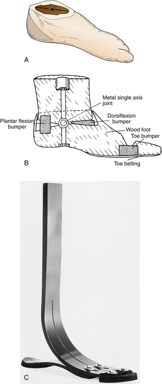 Introduction To Orthotics And Prosthetics | Musculoskeletal Key