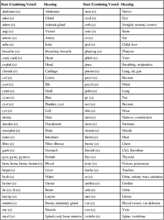 anatomy-root-words