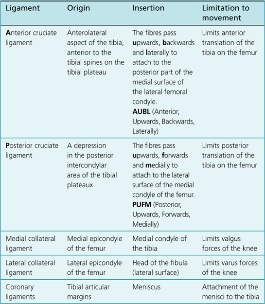 Knee Joint Extension Range at Ruth Ritter blog