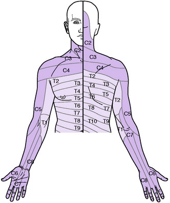 Cervical Dermatome Map