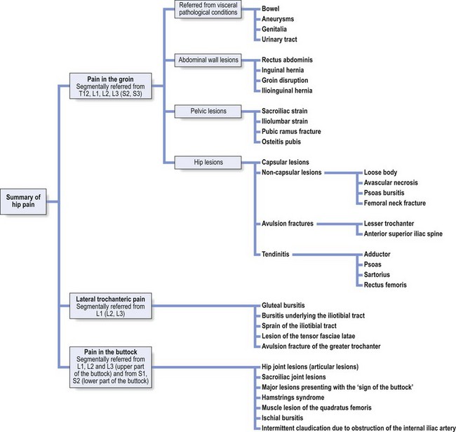 Summary Of Hip Pain | Musculoskeletal Key