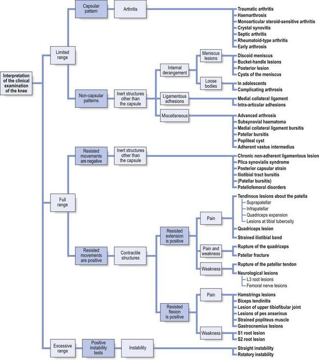 Interpretation Of The Clinical Examination Of The Knee ...