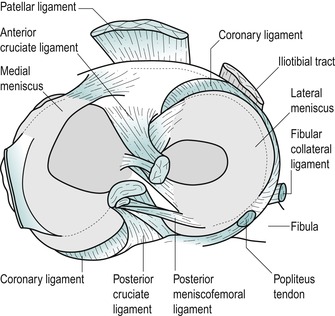 coronary ligament