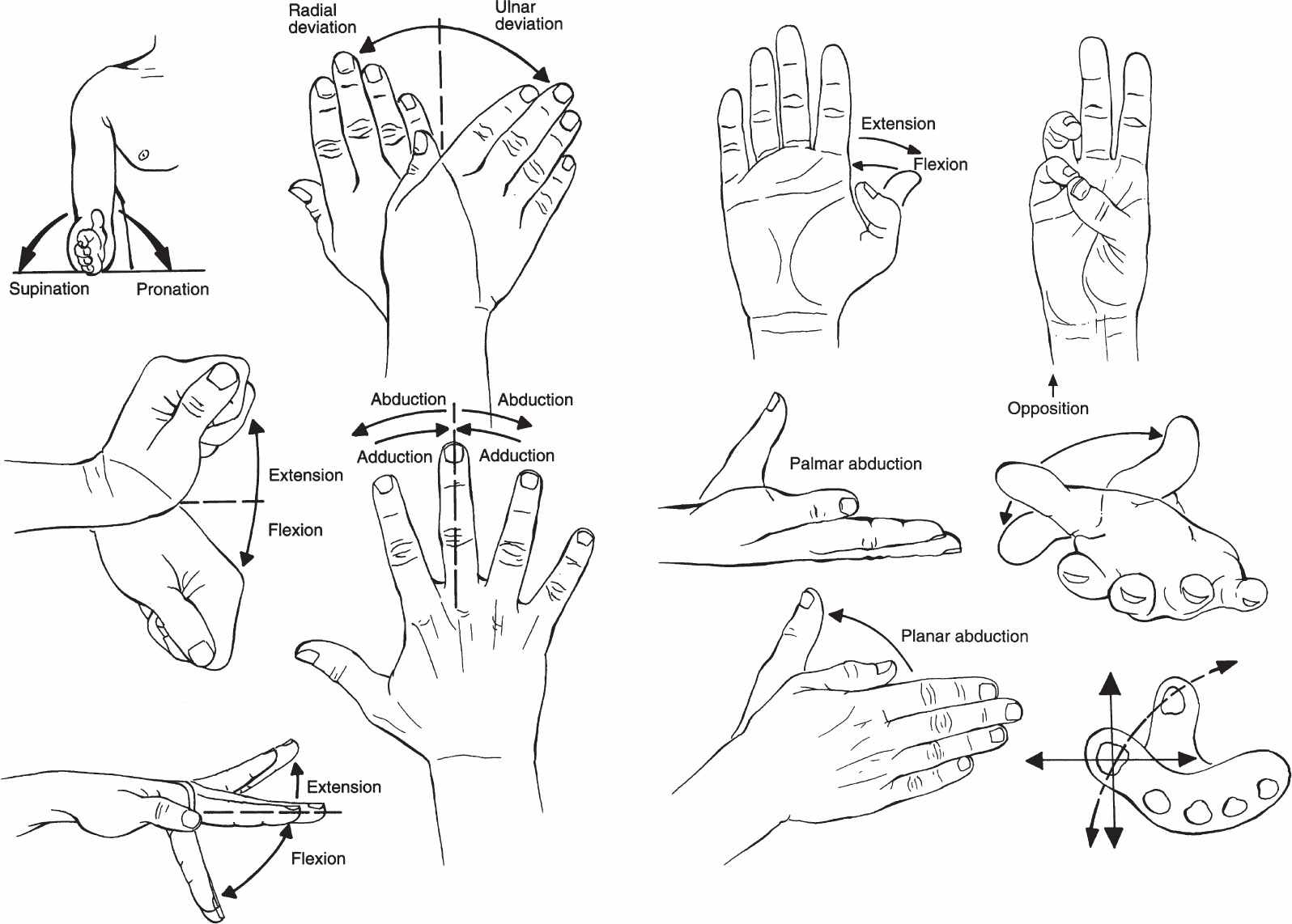 Thumb Motions