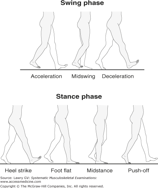 The Regional Musculoskeletal Examination Of The Neck | Musculoskeletal Key