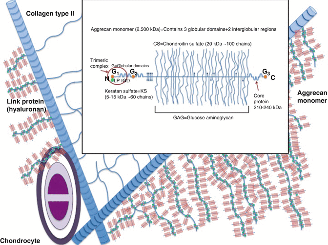 A330151_1_En_22_Fig4_HTML.gif