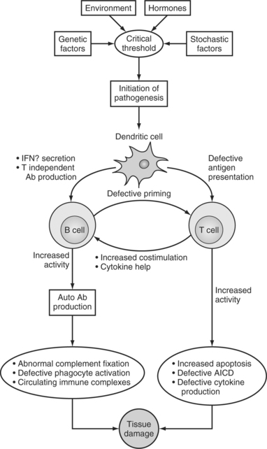 Overview Of The Pathogenesis Of Systemic Lupus Erythematosus ...