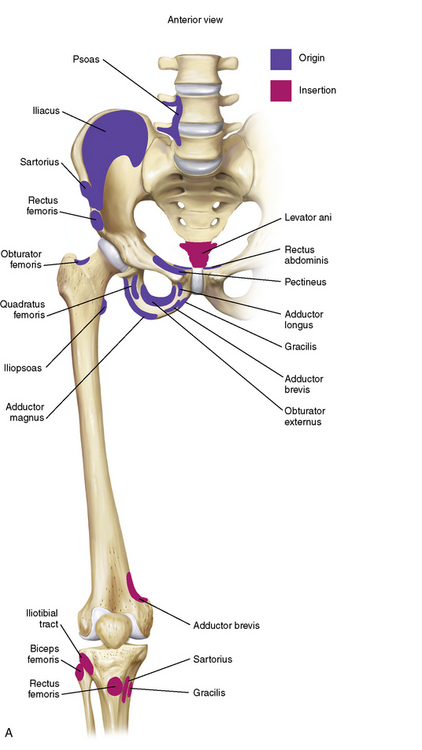 Surgical Treatment for Athletic Pubalgia (“Sports Hernia