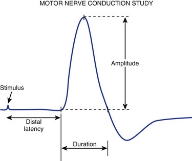 potential study