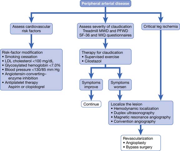 lower-limb-peripheral-vascular-disease-musculoskeletal-key