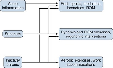 Introduction To Physical Medicine, Physical Therapy, And Rehabilitation ...