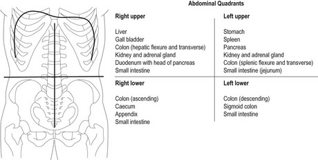 Gastrointestinal System | Musculoskeletal Key