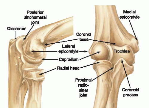 Figure Four Arm Lock Basics of Elbow Arthroscopy Positioning Setup Anatomy 