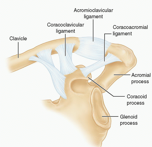 Open Reduction And Internal Fixation Of Nonarticular Scapular Fractures 