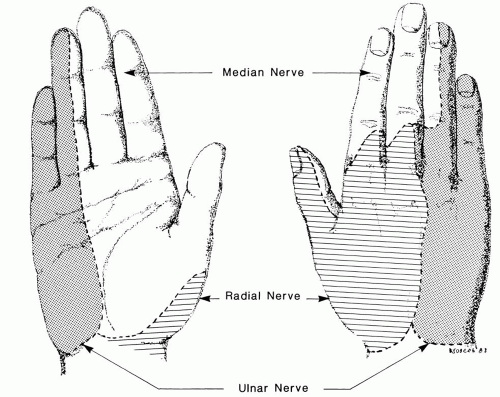 Neurovascular Syndromes of the Extremities | Musculoskeletal Key