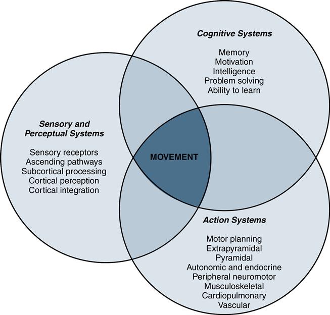 Cognitive stage of online motor learning