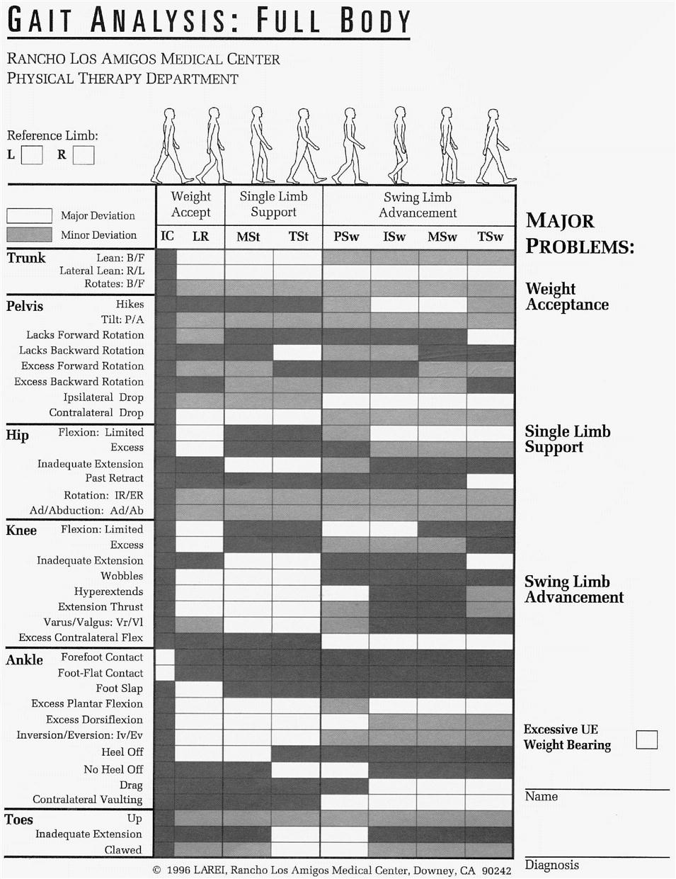 Assessment of Gait  Musculoskeletal Key