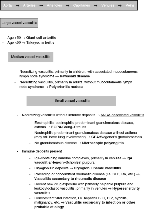 c13-fig-0001