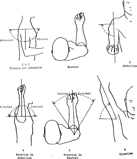 Shoulder Range Of Motion Musculoskeletal Key