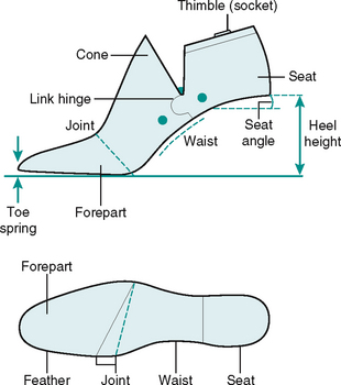 Footwear assessment | Musculoskeletal Key