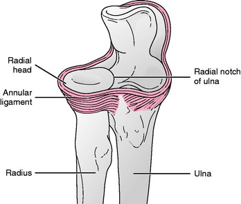 doare articulația umărului unei persoane artroza articulației genunchiului tratamente cu acid hialuronic