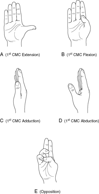 Metacarpophalangeal Joint Movement