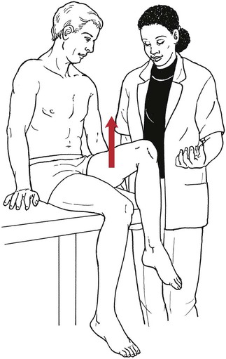 Testing the Muscles of the Lower Extremity