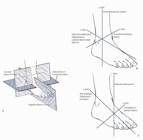 Foot Planes Anatomy