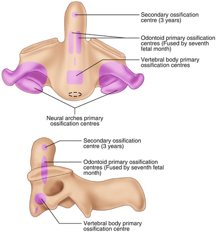 A300403_1_En_4_Fig1_HTML.jpg