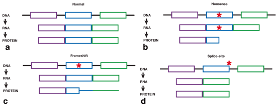 A305840_1_En_1_Fig3_HTML.gif