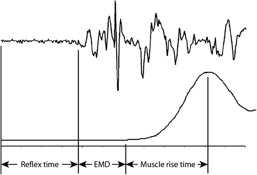 Role of Muscles in Accidental Injury | Musculoskeletal Key