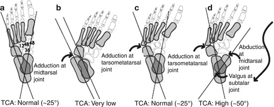 A314795_1_En_25_Fig1_HTML.jpg