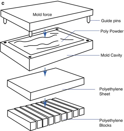 A314929_1_En_2_Fig2b_HTML.jpg