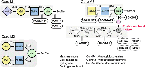 A321152_1_En_2_Fig3_HTML.gif