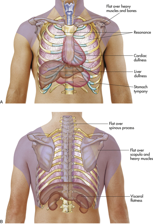 Respiratory System  Musculoskeletal Key