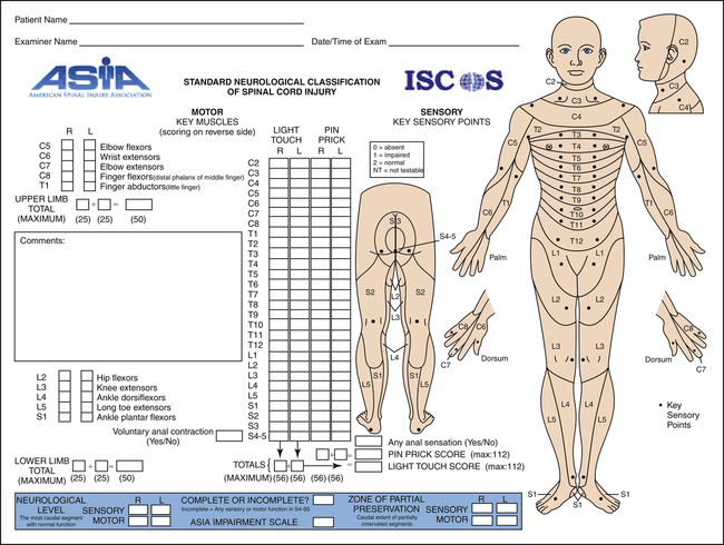 Asia Spinal Cord Injury Chart