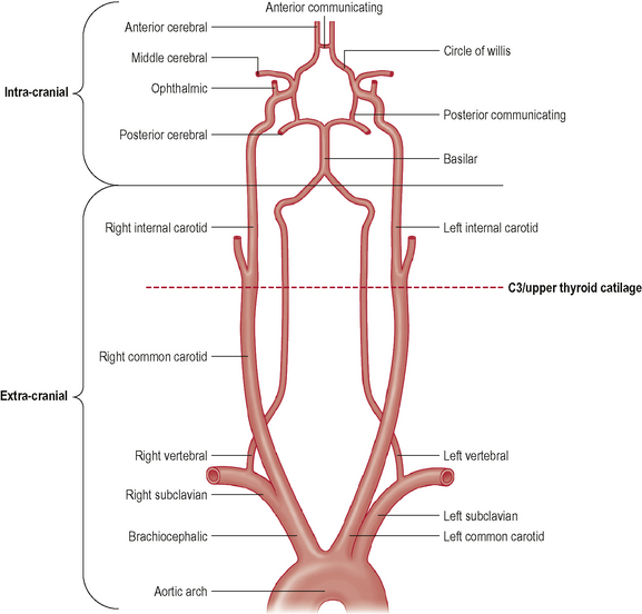 Haemodynamics | Musculoskeletal Key