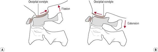 Upper Cervical Spine Musculoskeletal Key