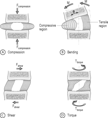 Biomechanics of the Intervertebral Disc | Musculoskeletal Key
