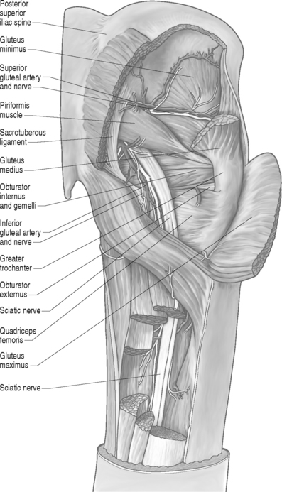 Piriformis Syndrom - Explained: Pittsburgh Physical Medicine and