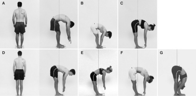 Description of trunk motion. Trunk forward inclination was measured as