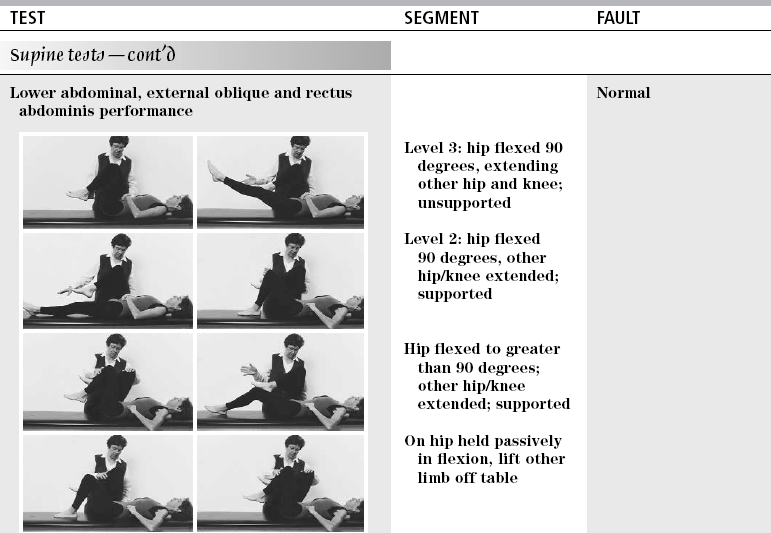 Knee Extension Manual Muscle Test