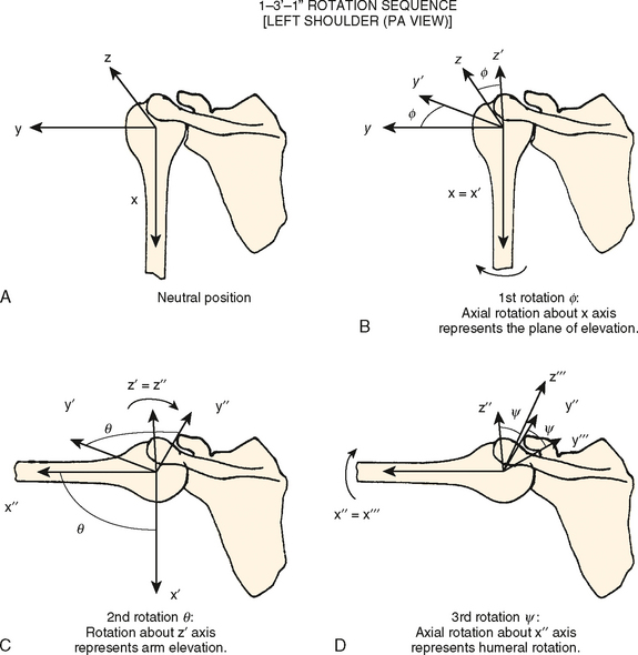 Shoulder Anatomy and Biomechanics