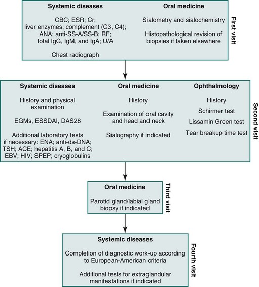 Management Of Sjögren Syndrome In Patients With SLE | Musculoskeletal Key