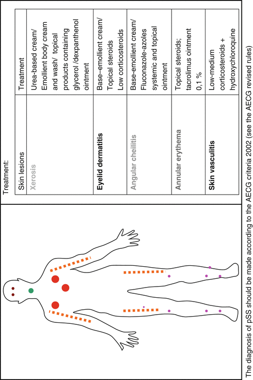 Skin Manifestations And Sjögren’s Syndrome | Musculoskeletal Key